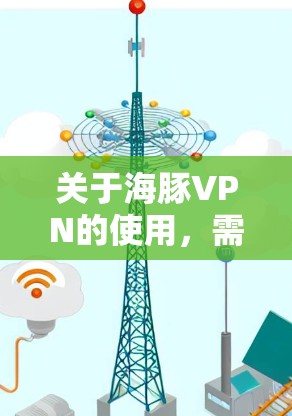 关于海豚VPN的使用，需特别注意以下几点