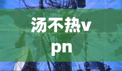 汤不热vpn